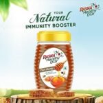 RASNA HEALTHY DAY Pure Honey 500ml