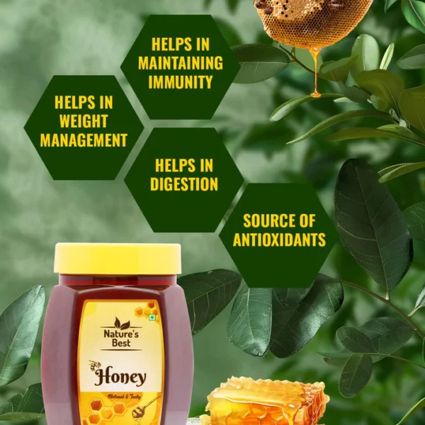 NATURE,S BEST HONEY 500gm